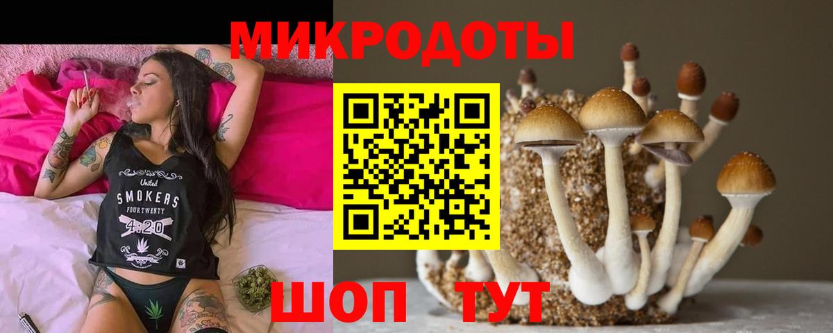 Псилоцибиновые грибы прущие грибы  Псилоцибиновые грибы GOLDEN TEACHER  Киржач  Вход с VPN 